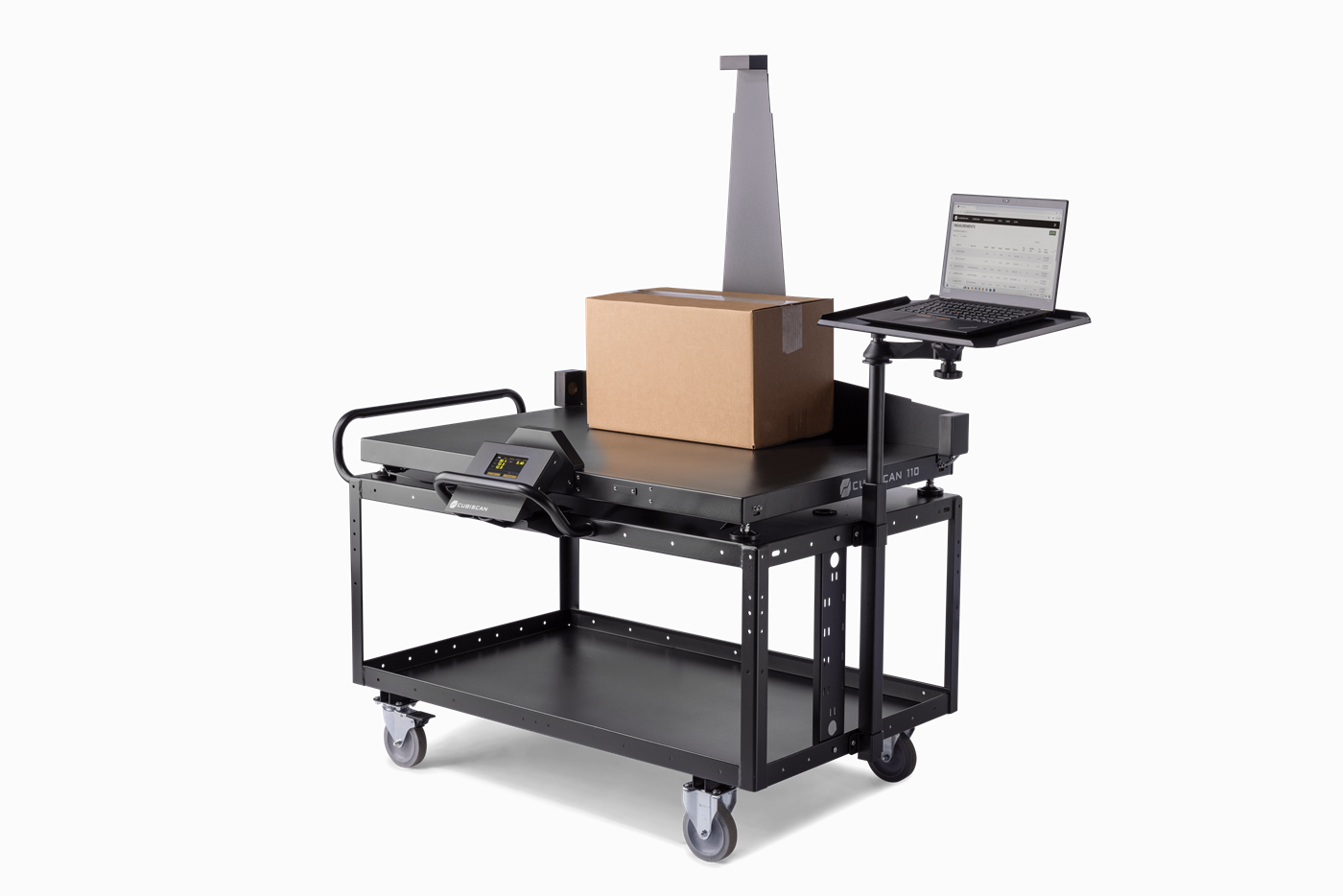 Cubiscan 110